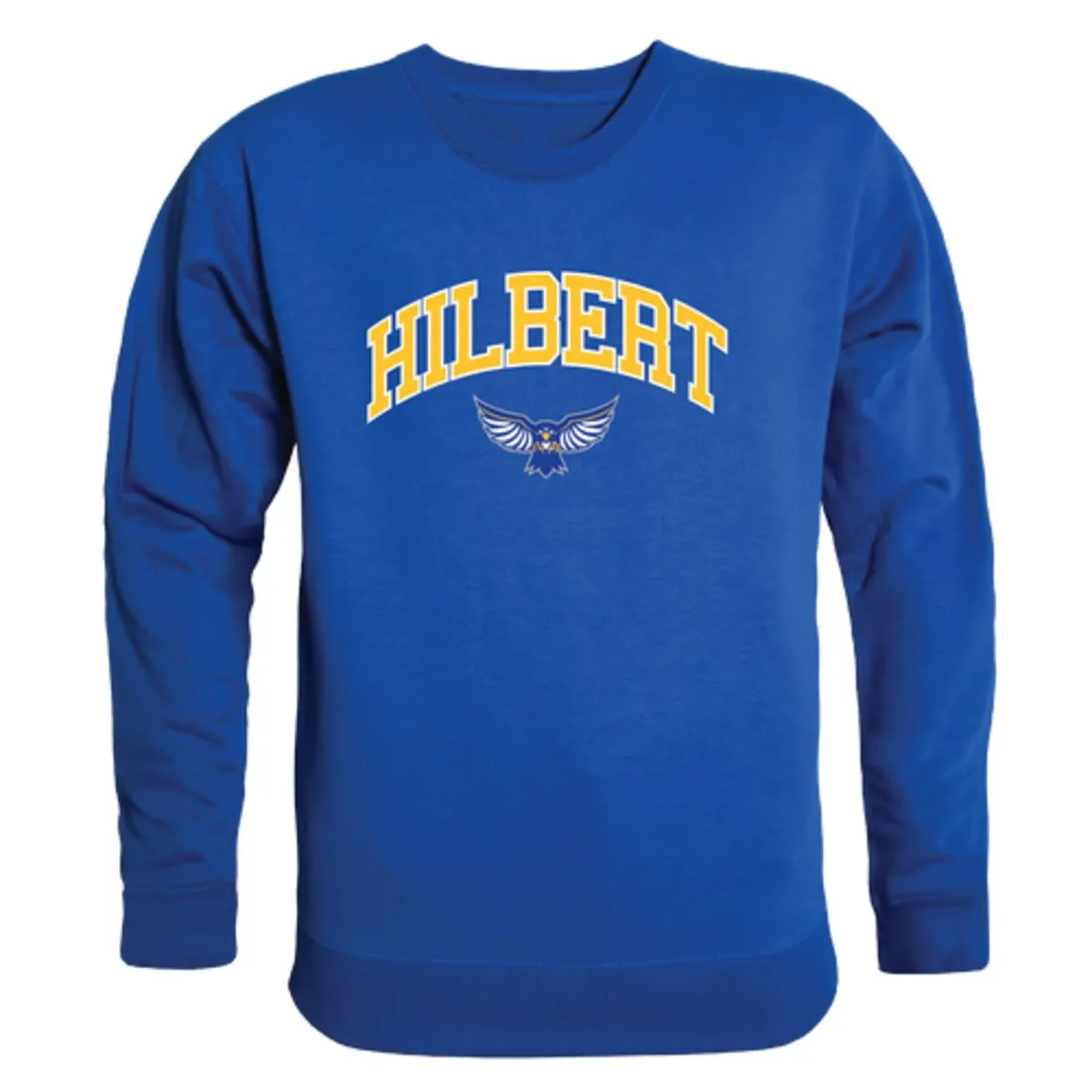 Hilbert College Hawks Campus Fleece Crewneck Pullover Sweatshirt